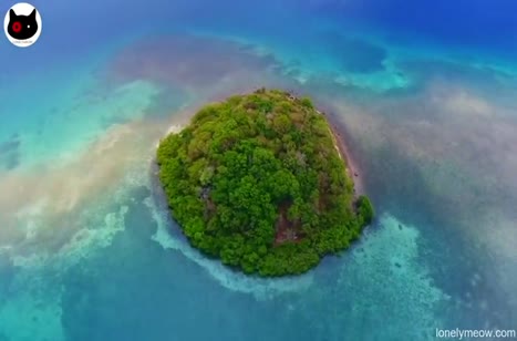 После мастурбации пошлая азиатка не против перепихнуться